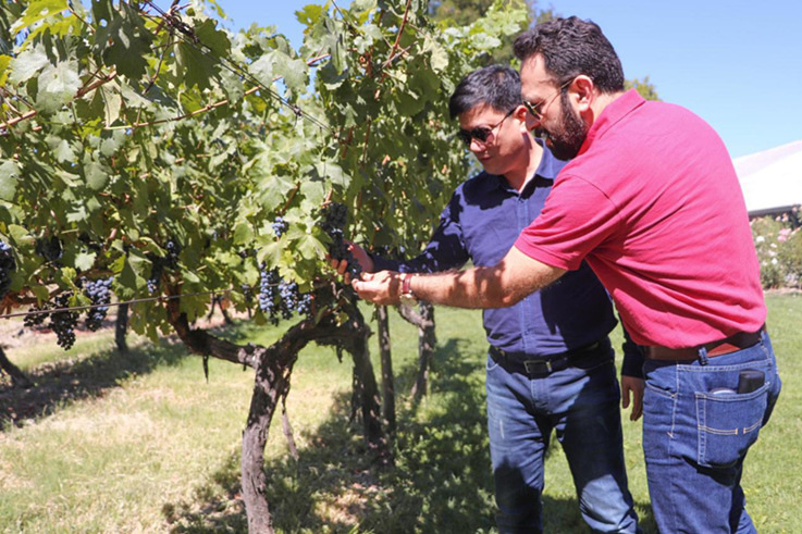 蓝菲考察团拜访安智利雅家族酒庄