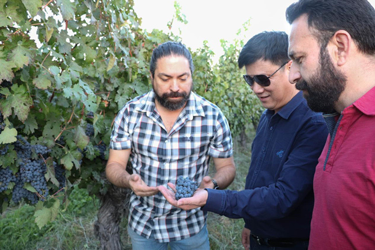 蓝菲考察团拜访安智利雅家族酒庄