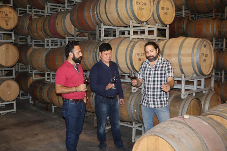 蓝菲考察团拜访安智利雅家族酒庄