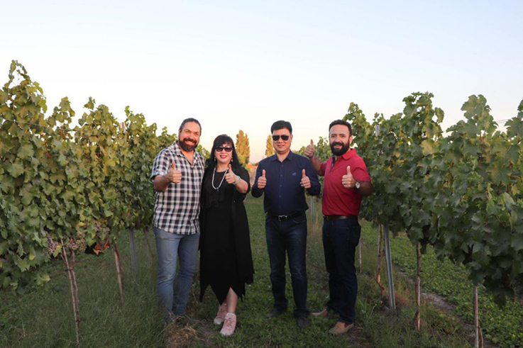 蓝菲考察团拜访安智利雅家族酒庄