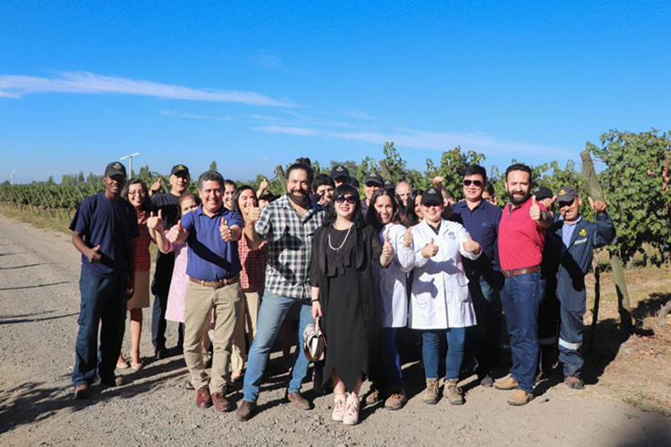 蓝菲考察团拜访安智利雅家族酒庄
