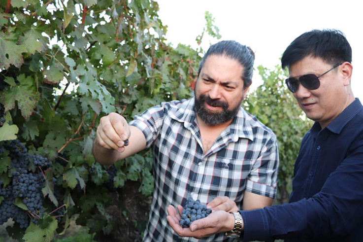 蓝菲董事长受邀赴智利考察