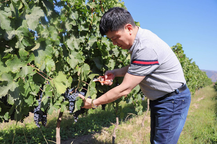 蓝菲董事长受邀赴智利考察