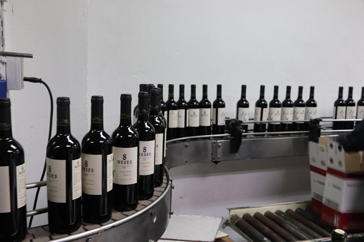 蓝菲董事长受邀赴智利考察