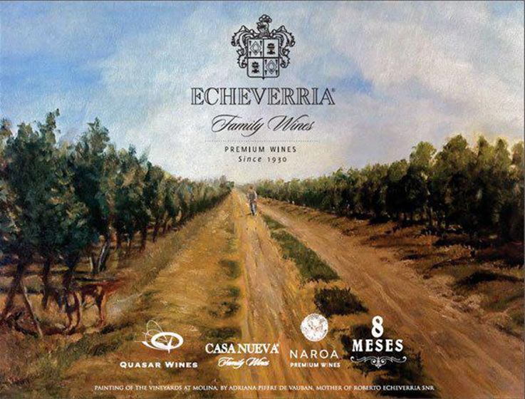 蓝菲董事长受邀赴智利考察