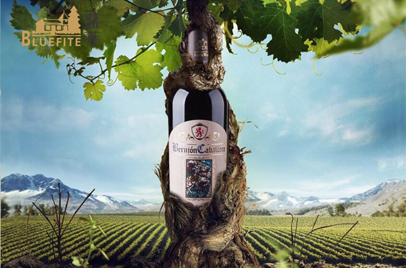 做西班牙红酒生意的前景怎么样?