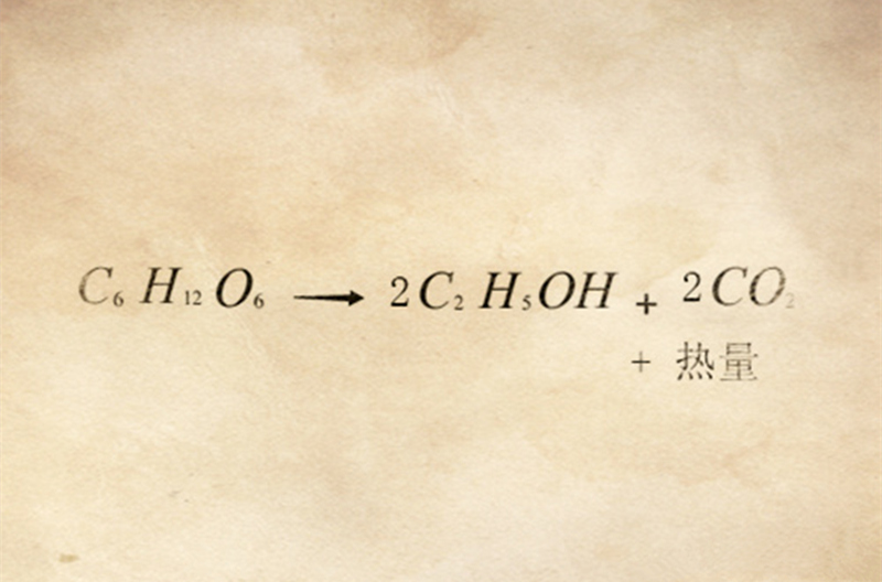 酒精发酵的过程就是糖分在一定条件下转化成酒精及二氧化碳的过程